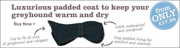 Greyhound coat